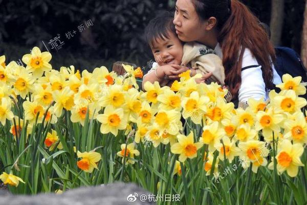 月球种菜是什么梗